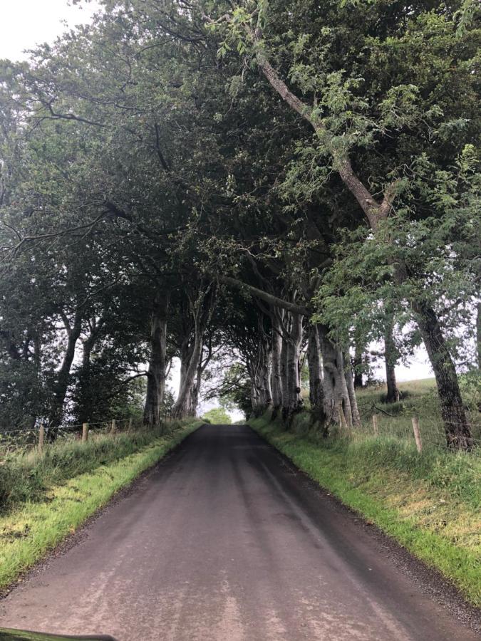 Den @ The Dark Hedges Apartment Stranocum Ngoại thất bức ảnh